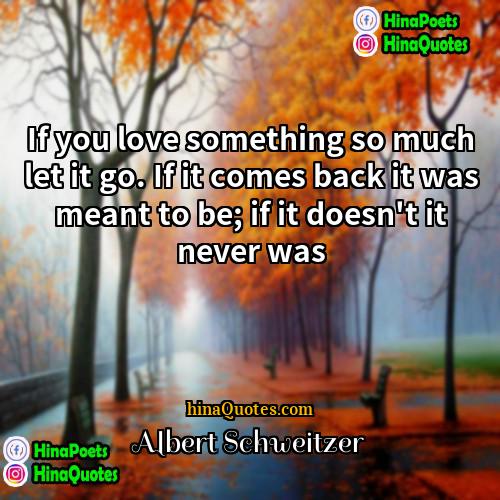 Albert Schweitzer Quotes | If you love something so much let